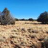 Photo of Mobile Home Lot