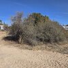 Photo of Mobile Home Lot