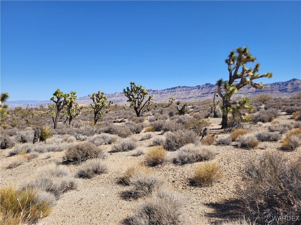 Photo of Mobile Home Lot