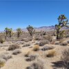 Photo of Mobile Home Lot