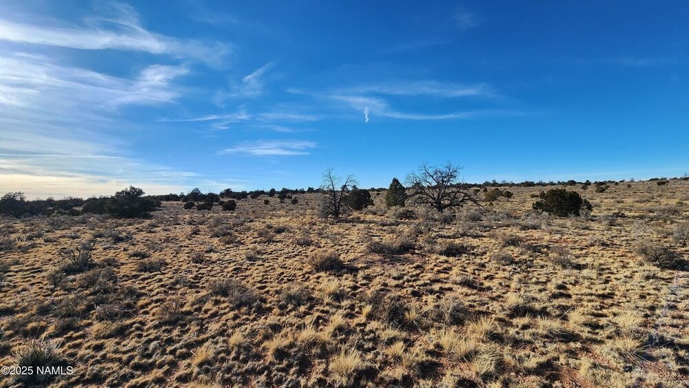 Photo of Mobile Home Lot