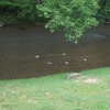 RV Lot for Sale: Waters Edge Motorhome Cummunity, Waynesville, NC