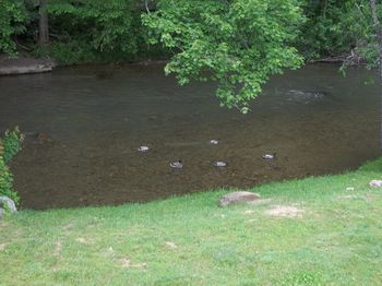 Photo of RV Lot