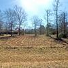 Mobile Home for Sale: Mobile Home