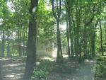 Photo of Mobile Home Lot