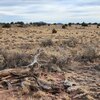 Photo of Mobile Home Lot