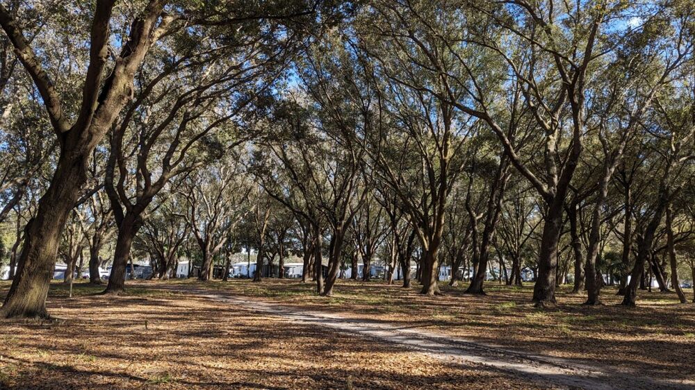 Oak Harbor RV  Village