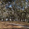 Oak Harbor RV  Village
