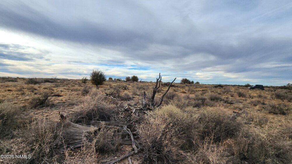 Photo of Mobile Home Lot