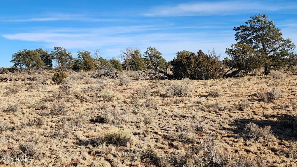 Photo of Mobile Home Lot