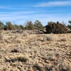 Photo of Mobile Home Lot