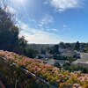 Mobile Home for Sale: Mobile Home, Mobile/Manufactured - Chula Vista, CA, Chula Vista, CA