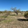 Photo of Mobile Home Lot