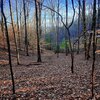 Photo of Mobile Home Lot