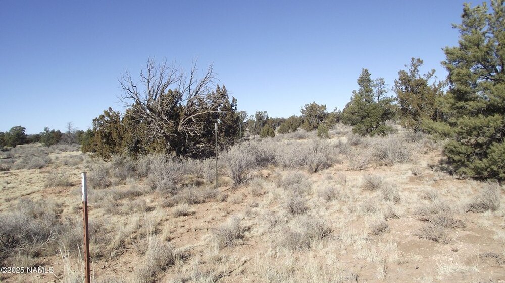 Photo of Mobile Home Lot