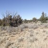 Photo of Mobile Home Lot