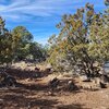 Photo of Mobile Home Lot