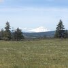 Mobile Home for Sale: Mobile Home