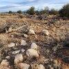Photo of Mobile Home Lot