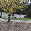 Photo of Mobile Home Park