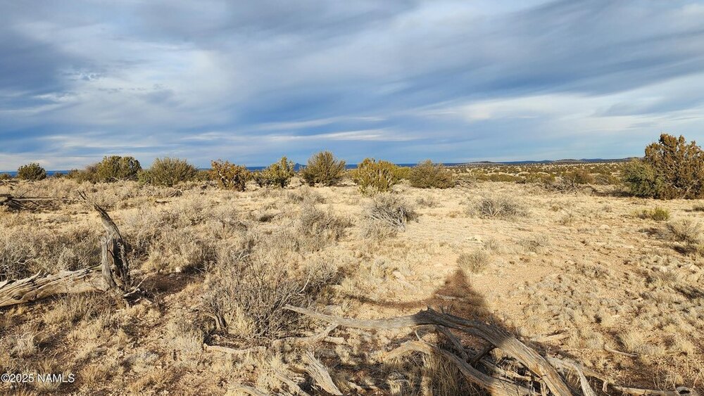 Photo of Mobile Home Lot