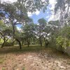 Mobile Home for Sale: Mobile Home, Florida - UMATILLA, FL, Umatilla, FL