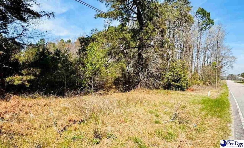 Photo of Mobile Home Lot