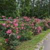 Mobile Home for Sale: Modular Prefab, Modular Home - Walhalla, SC, Walhalla, SC