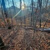 Photo of Mobile Home Lot