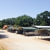 RV Park for Sale: Indian Creek RV Park, Yantis, TX