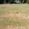 Photo of Mobile Home Lot
