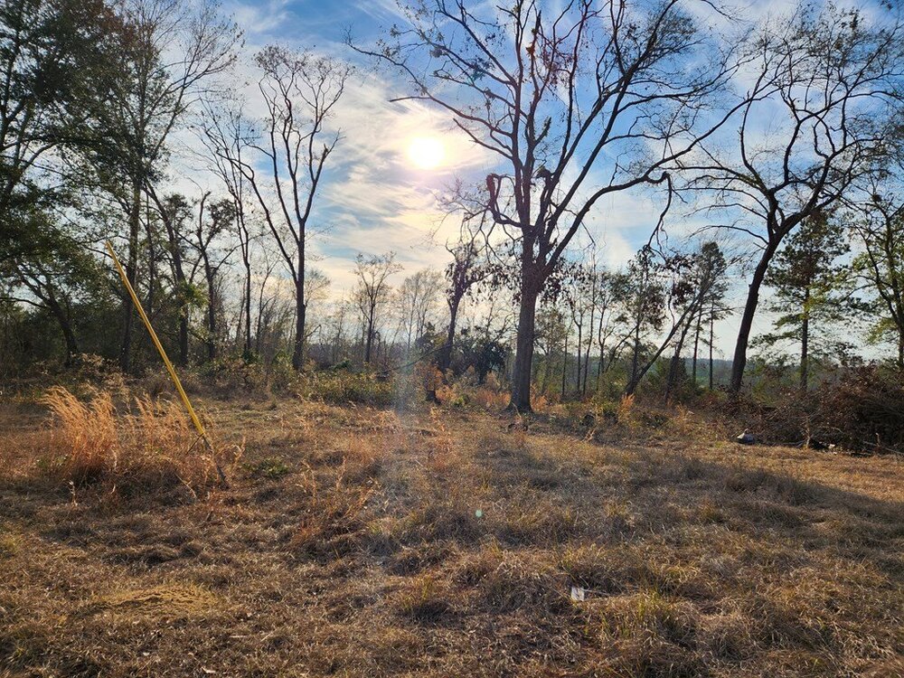 Photo of Mobile Home Lot