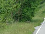 Photo of Mobile Home Lot