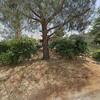 Mobile Home for Sale: 2 Bed 1 Bath 1977 Mobile Home