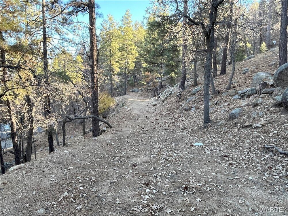 Photo of Mobile Home Lot