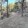 Photo of Mobile Home Lot