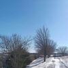 Mobile Home for Sale: 3 Bed 2 Bath 2000 Mobile Home