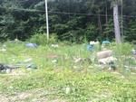 Photo of Mobile Home Lot