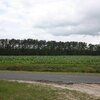 Photo of Mobile Home Lot