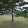 Mobile Home for Sale: 2 Bed 1 Bath 1980 Mobile Home