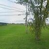 Mobile Home for Sale: Mobile Home