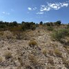 Photo of Mobile Home Lot