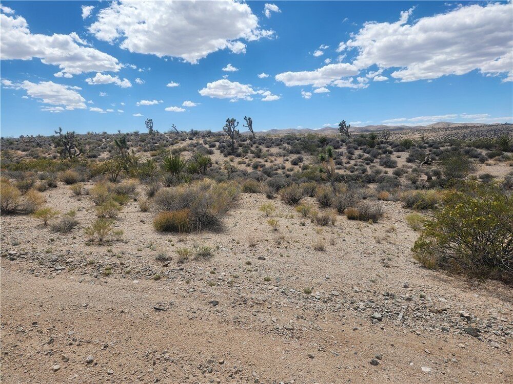 Photo of Mobile Home Lot