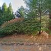 Mobile Home for Sale: 2 Bed 2 Bath 1996 Mobile Home