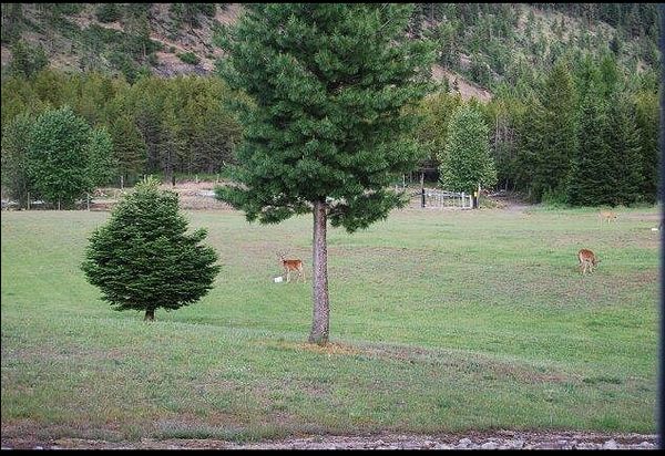 Photo of RV Park/Campground