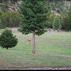 Photo of RV Park/Campground