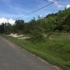 Mobile Home Lot for Sale: AL, DEMOPOLIS - Land for sale., Demopolis, AL