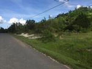 Photo of Mobile Home Lot