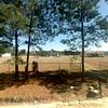 Mobile Home for Sale: 3 Bed 2 Bath 2003 Mobile Home