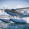 Aircraft for Sale: 1991 Antonov An-2 Turbine